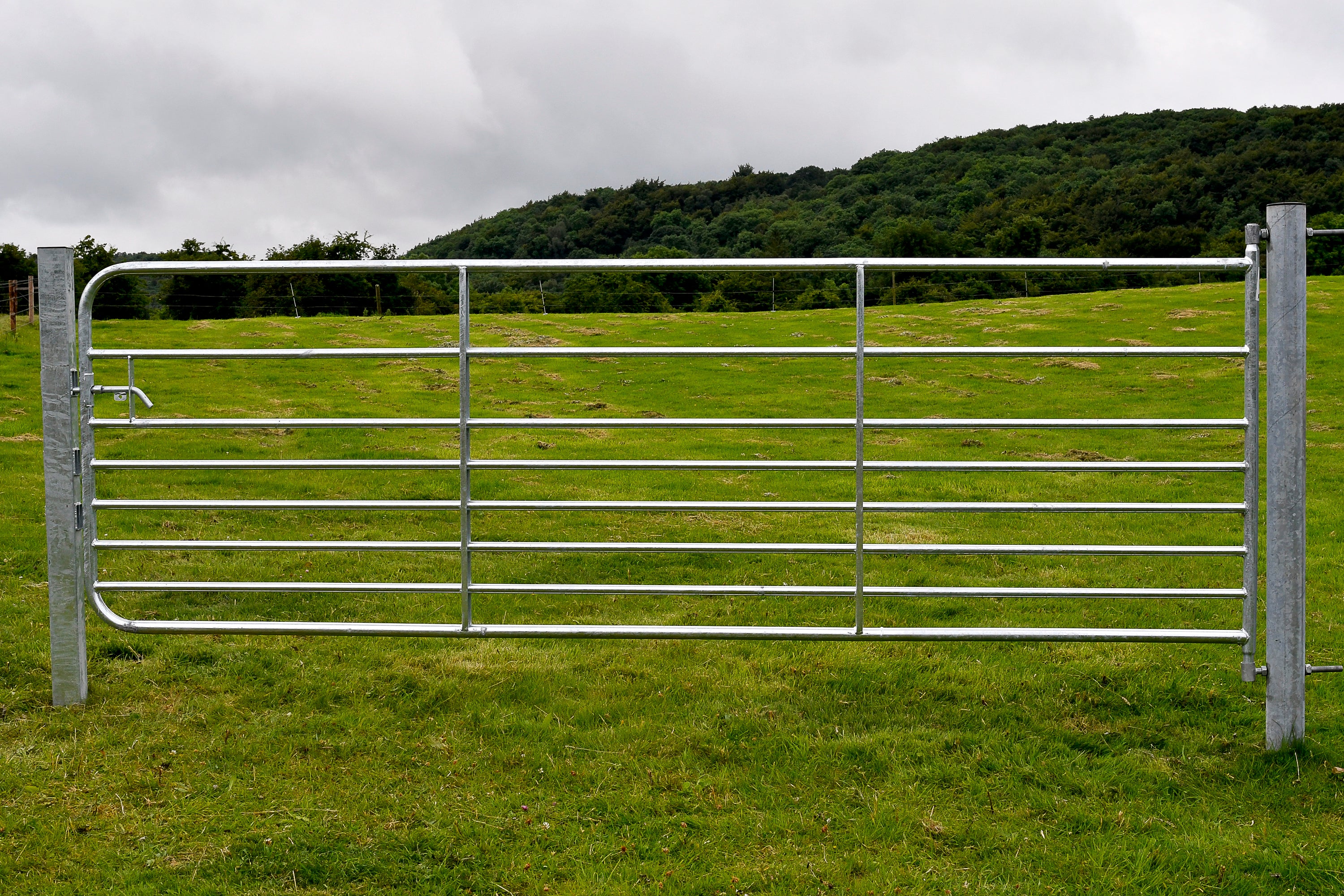 D8  MEDIUM GIBNEY GALVANISED GATE