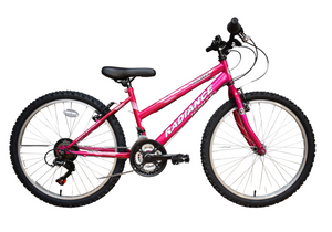 Ladies 17 inch bike hotsell