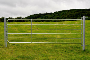 D4 LIGHT GIBNEY GALVANISED GATE