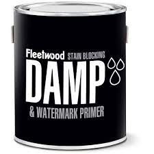 FLEETWOOD DAMP & WATERMARK PAINT