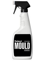 FLEETWOOD MOULD REMOVER 500ml